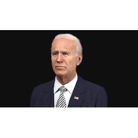 Joe Biden Bust 3D model